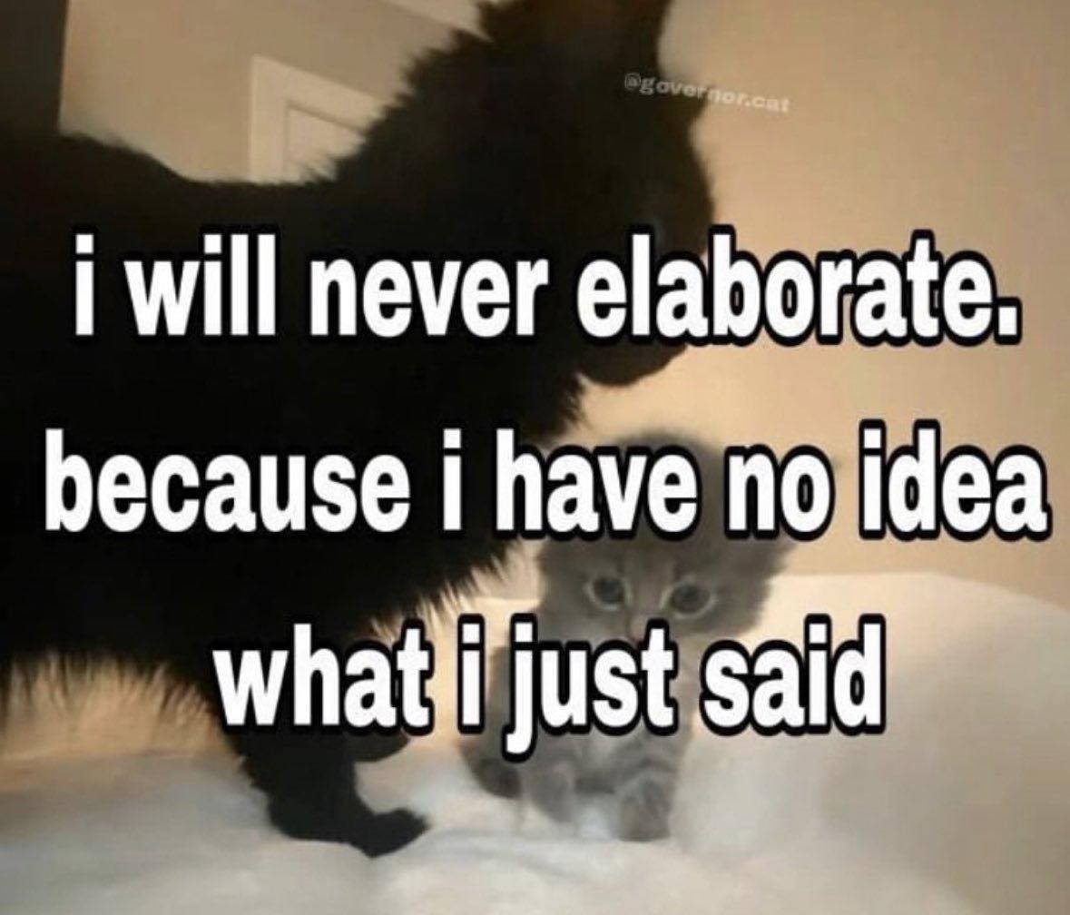 This meme is an image of a cat looking at a smaller cat, with a caption that reads: "I will never be as cool as the cat who's been living in my house for 3 years, has eaten all my food, and still looks at me like I owe her money."